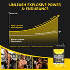 Creatine Gummies Sugar-Free with 6000 mg Creatine Monohydrate