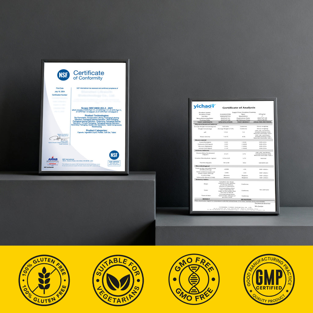 Creatine Gummies Sugar-Free with 6000 mg Creatine Monohydrate