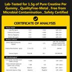 Creatine Gummies Sugar-Free with 6000 mg Creatine Monohydrate